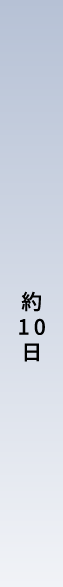 約10日